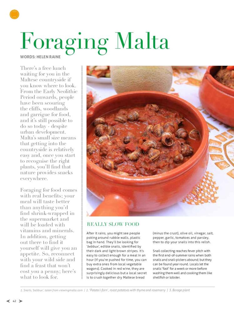 bizilla apr 15 foraging malta p42-page-001