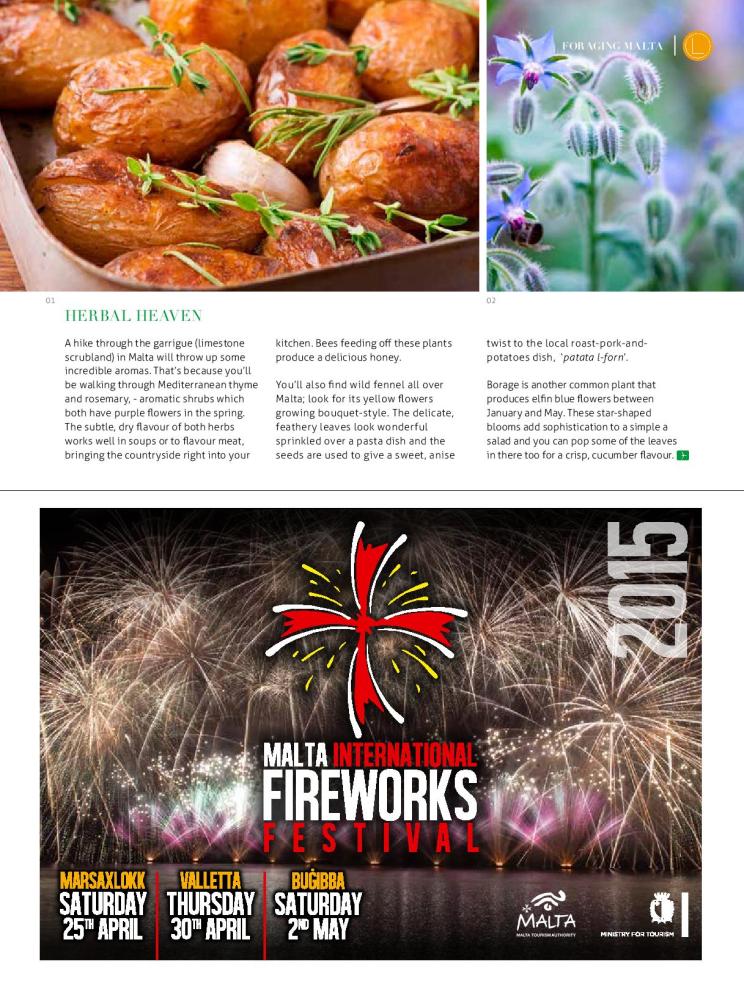 bizilla apr 15 foraging malta p42-page-002