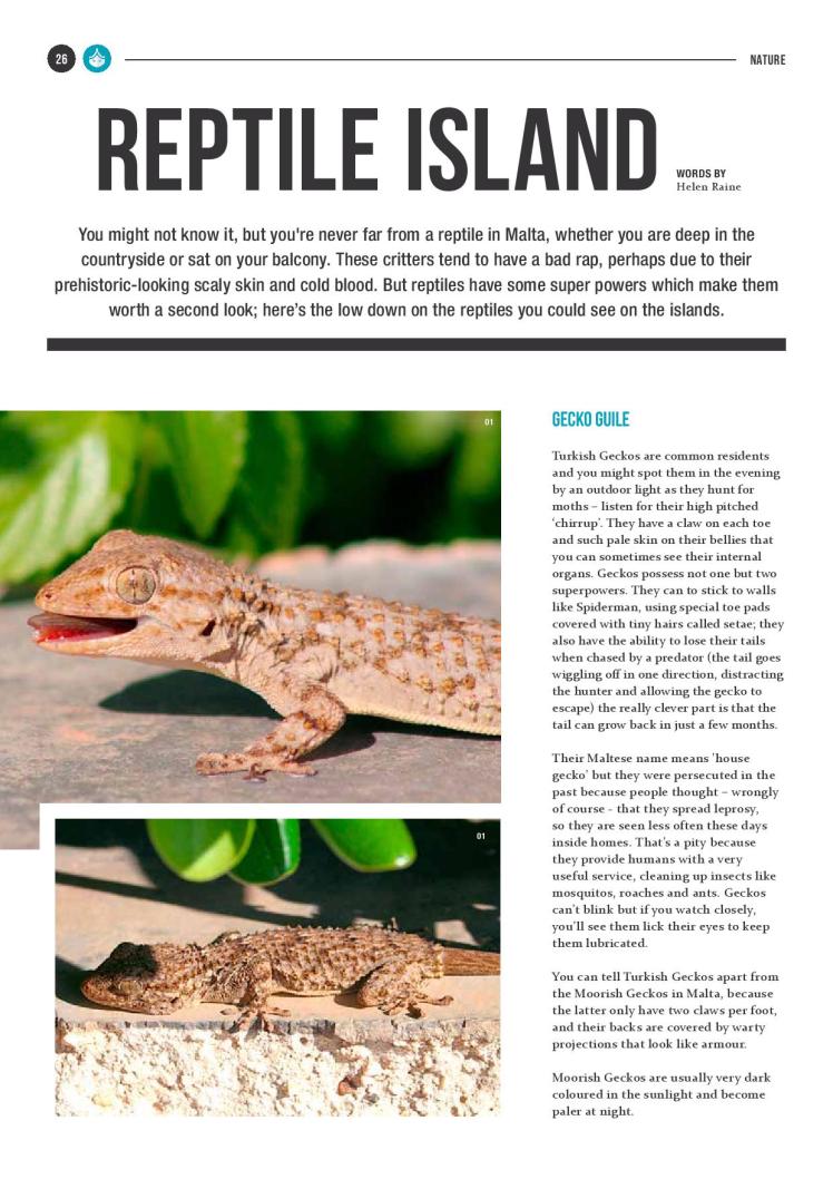 bizilla dec 15 reptile island new-page-001