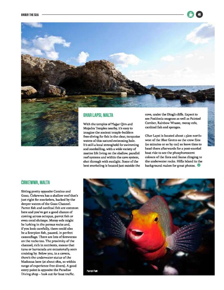 bizilla mar 16 - snorkel safari-page-002