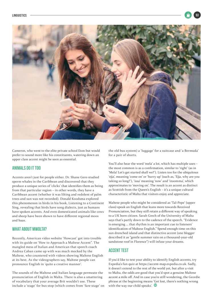 bizzilla-oct-16-accents-3