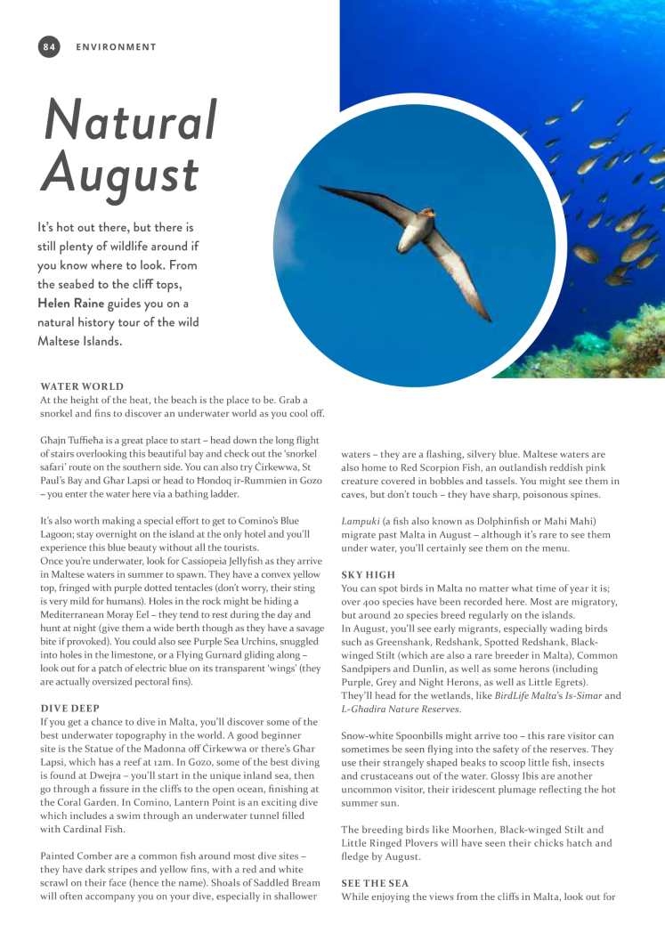 Natural August in Malta 1-1