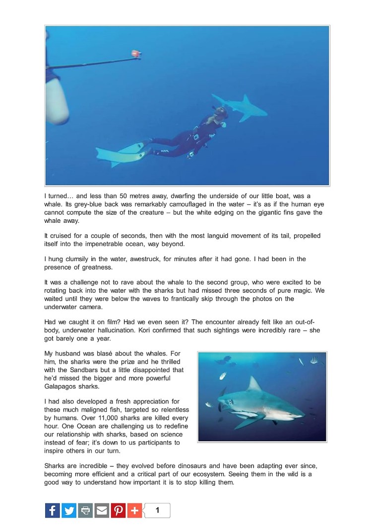 shark diving oahu hawaii 3