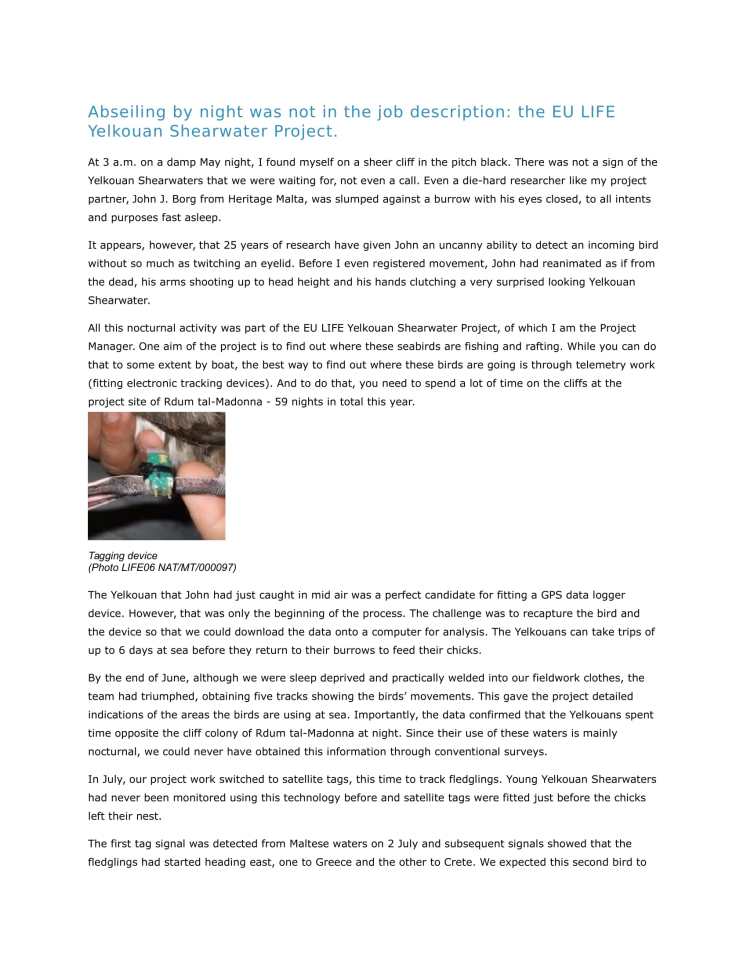 Abseiling by night was not in the job description-1