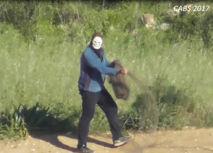 31870267_1975224872550903_2970164790799892480_o