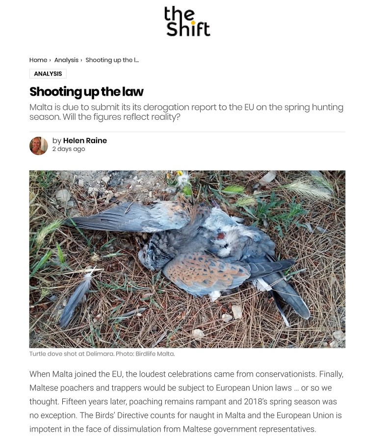 Shooting up the law – The Shift News-1