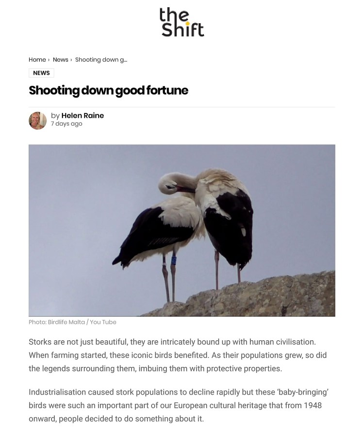 Shooting down good fortune – The Shift News-1