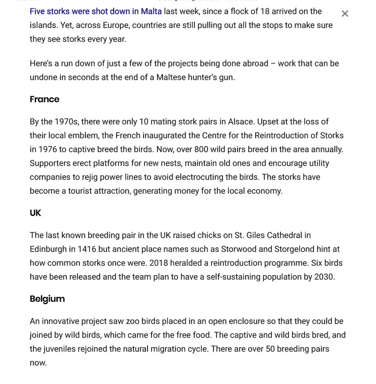 Shooting down good fortune – The Shift News-2