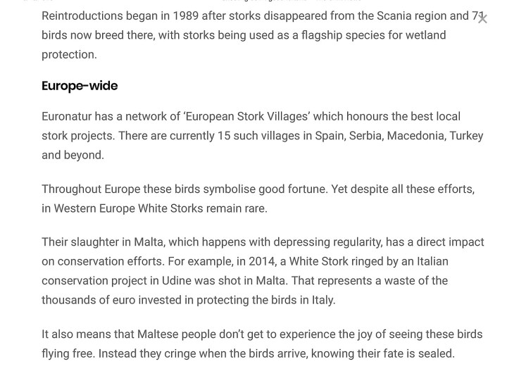 Shooting down good fortune – The Shift News-4