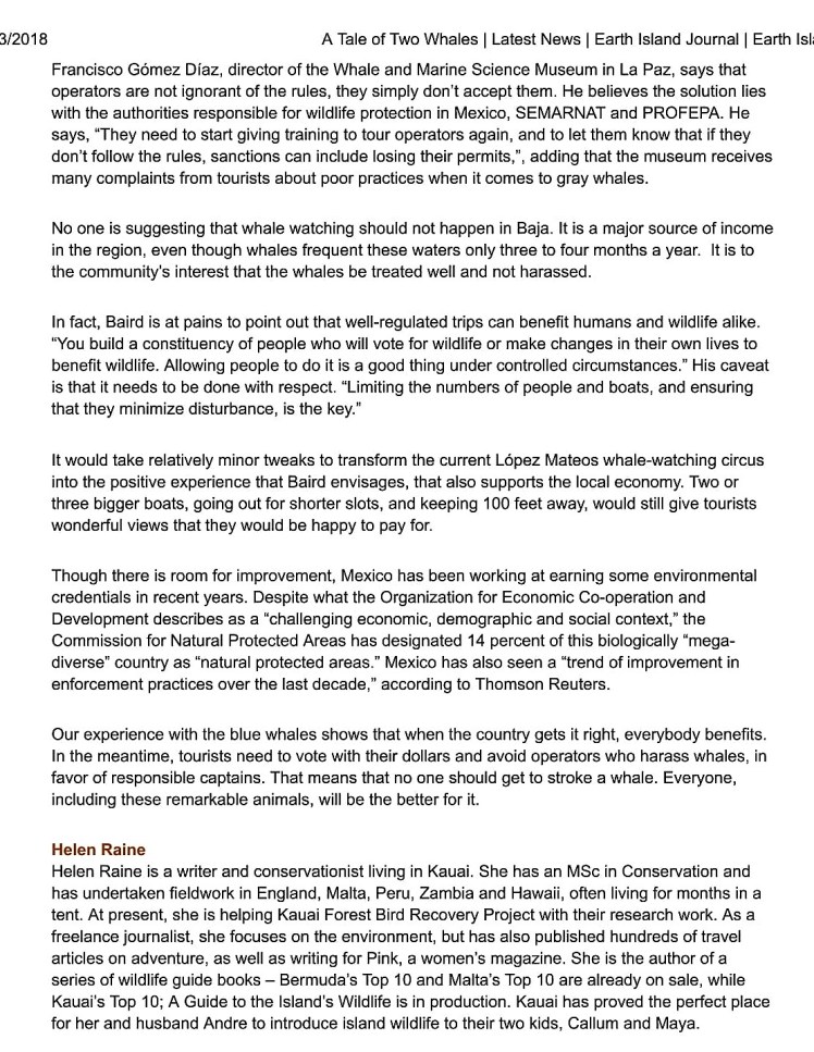 A Tale of Two Whales _ Latest News _ Earth Island Journal _ Earth Island Institute-3 hr 2